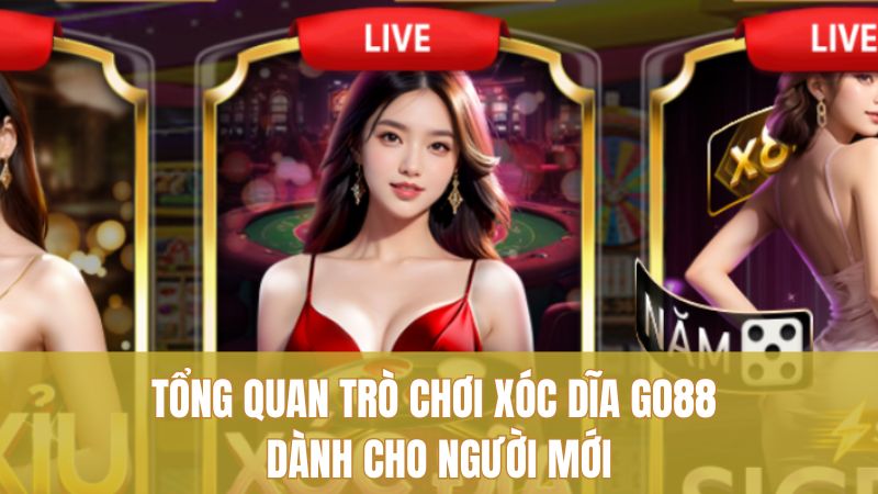 Tổng quan trò chơi Xóc Dĩa GO88 dành cho người mới